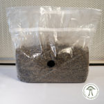 All-in-One Mushroom Grow Kit